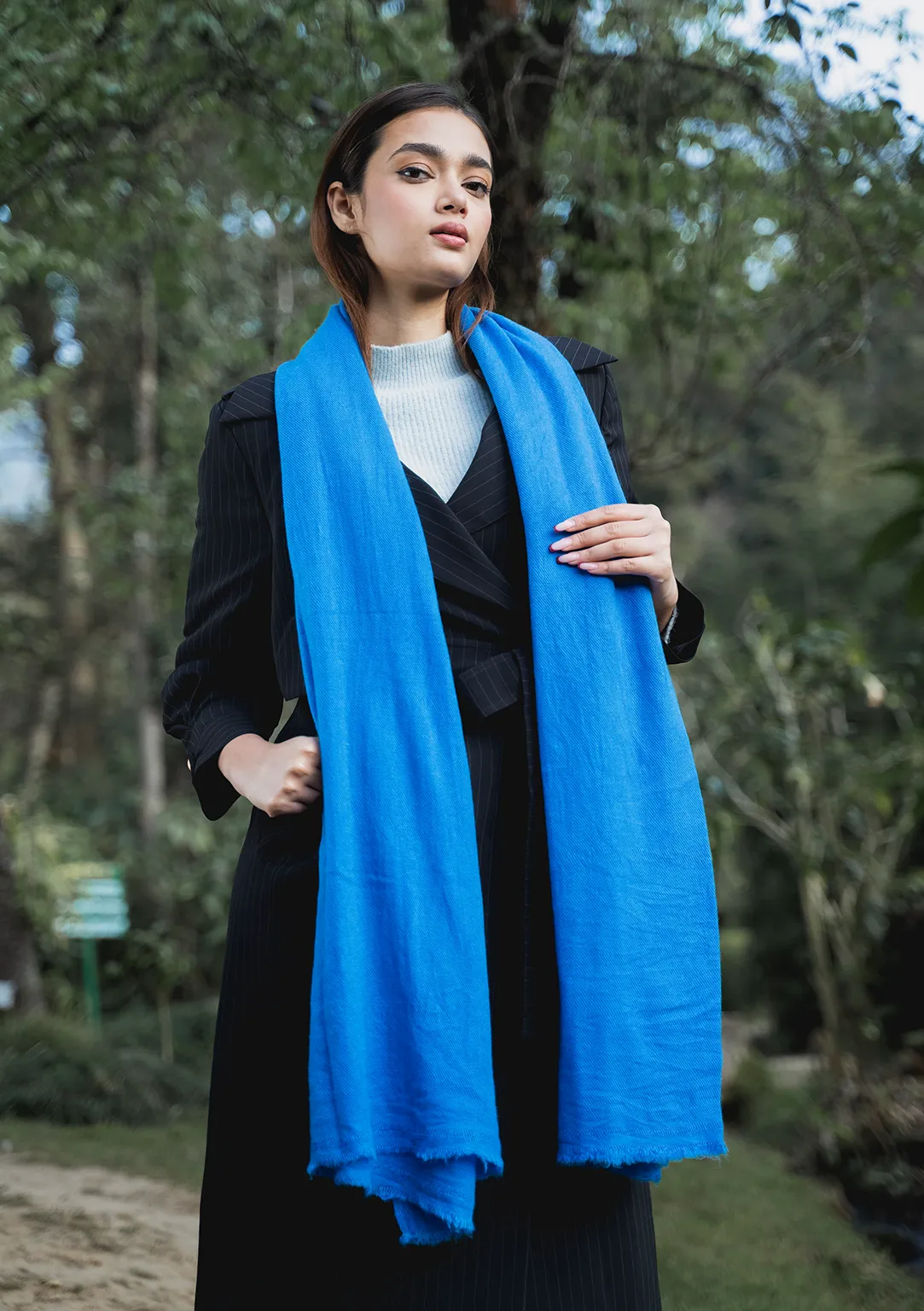 Blue Pure Pashmina Shawl