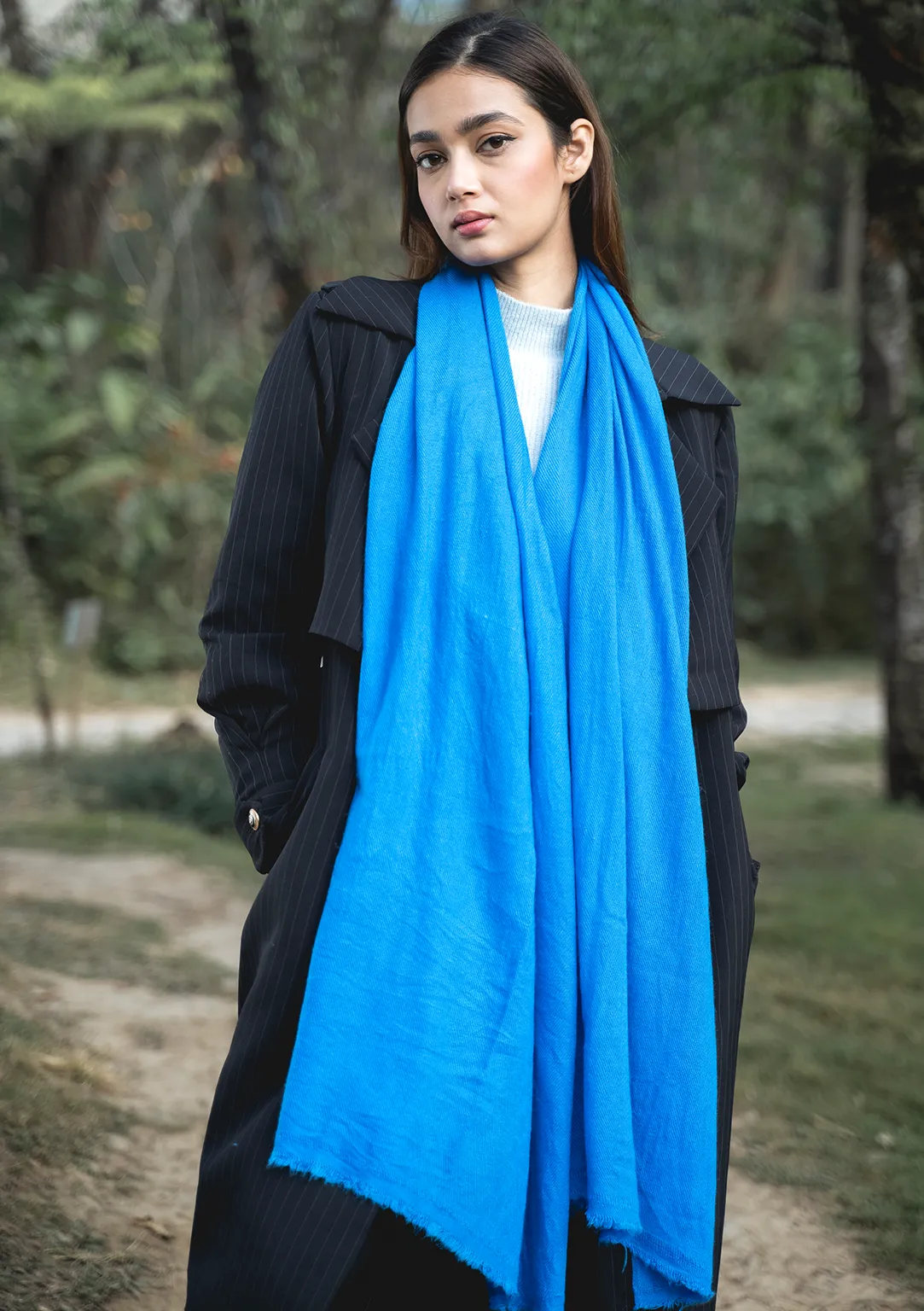 Blue Pure Pashmina Shawl